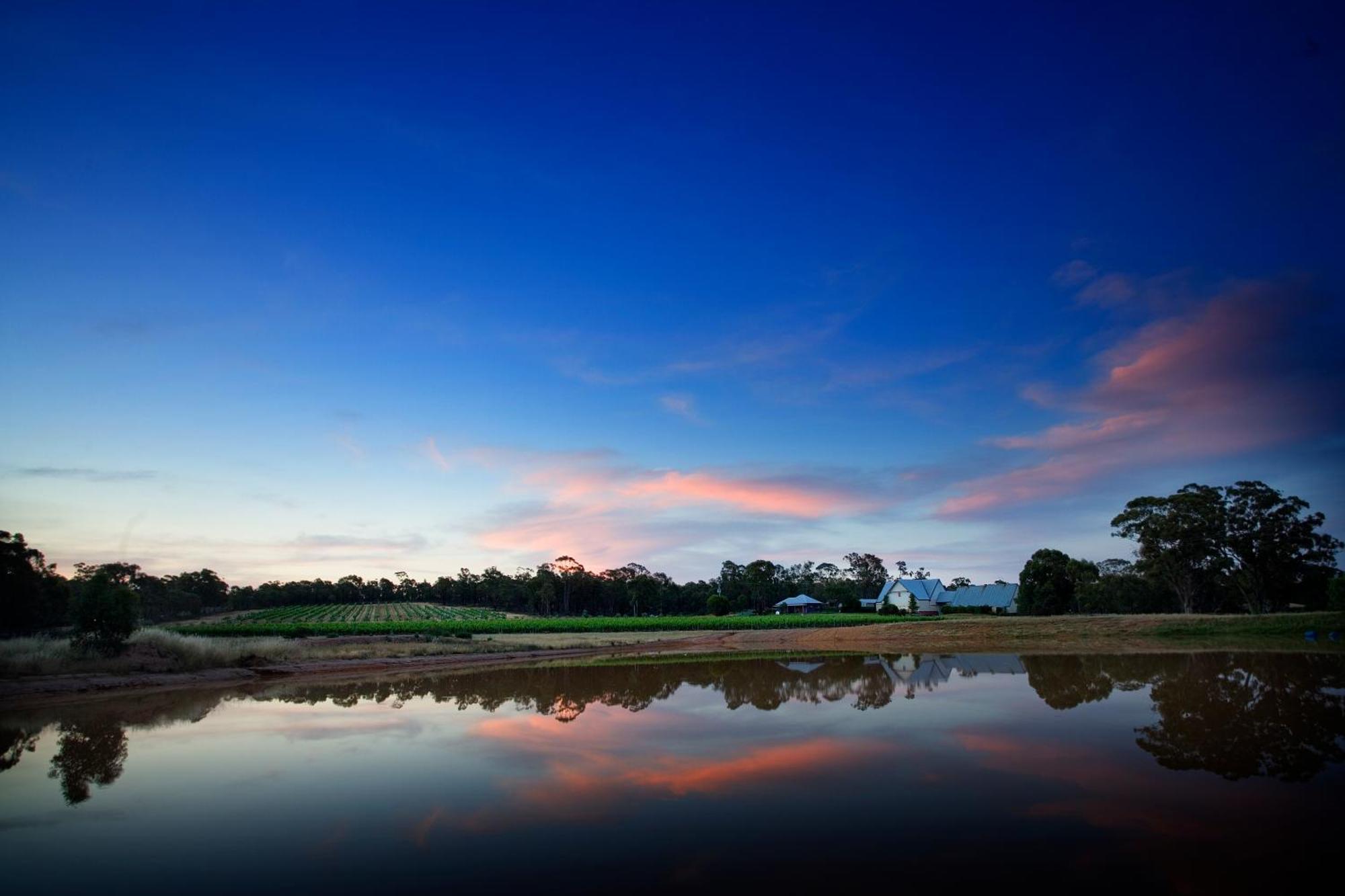 Balgownie Estate Bendigo Bed & Breakfast ภายนอก รูปภาพ